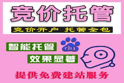 百度竞价推广公司经典案例解析：广告投放策略的智慧
